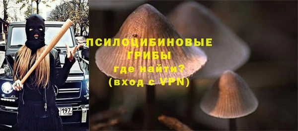 гидра Волосово